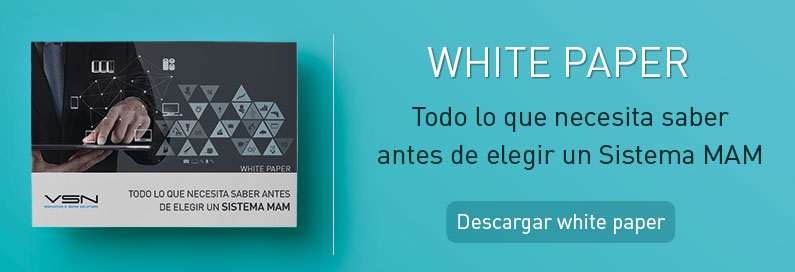 White Paper MAM
